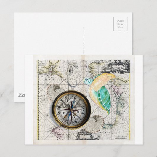 Carte Postale Compas de Sea Turtle (Devant / Derrière)