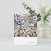 Carte Postale Compléments de la maison cosmique (Debout devant)