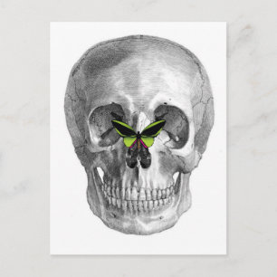 CARTE POSTALE COMPLEXE AVEC BOUTEILLE SUR IMPRESSION DE NEZ