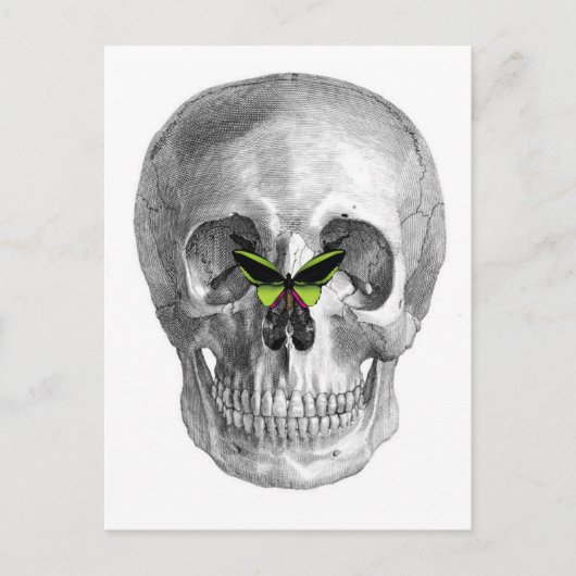 CARTE POSTALE COMPLEXE AVEC BOUTEILLE SUR IMPRESSION DE NEZ (Devant)