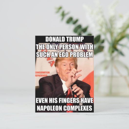 Carte Postale Complexe de Napoléon de Trump (Debout devant)