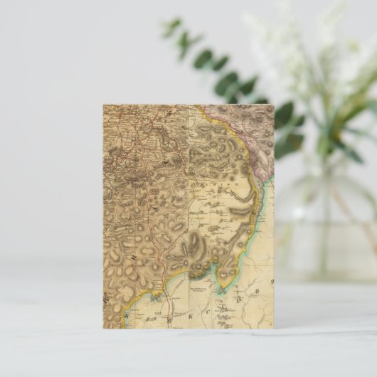 Carte Postale Composite Ayrshire (Debout devant)