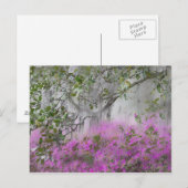 Carte Postale Composite numérique des azalées et des magnolias (Devant / Derrière)