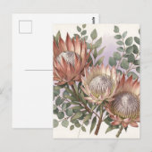 Carte Postale Composition botanique d'eucalyptus et de protée ro (Devant / Derrière)