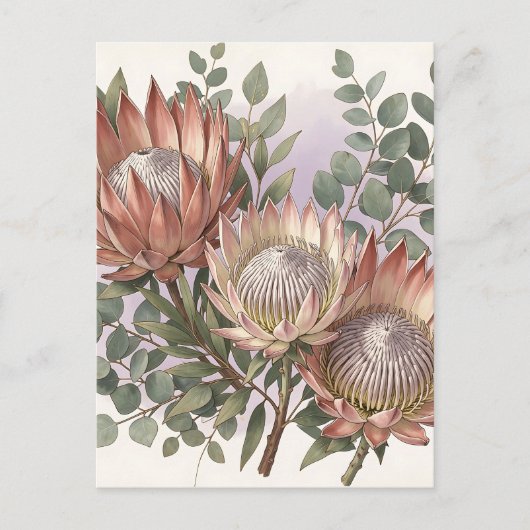 Carte Postale Composition botanique d'eucalyptus et de protée ro (Devant)