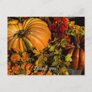 Carte Postale Composition de citrouille et de chrysanthème