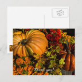 Carte Postale Composition de citrouille et de chrysanthème (Devant / Derrière)