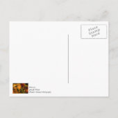 Carte Postale Composition de citrouille et de chrysanthème (Dos)