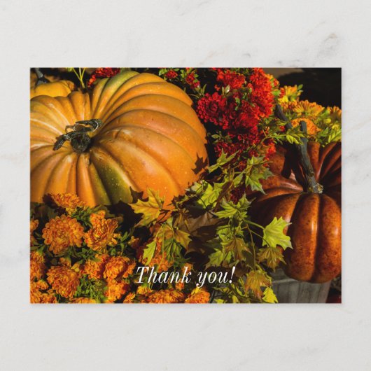 Carte Postale Composition de citrouille et de chrysanthème (Devant)