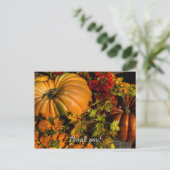 Carte Postale Composition de citrouille et de chrysanthème (Debout devant)