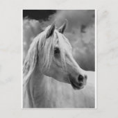 Carte Postale Composition de la série (Devant)