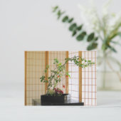 Carte Postale composition florale en zen (Debout devant)