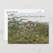 Carte Postale Compris ! -Carte postale (Devant / Derrière)