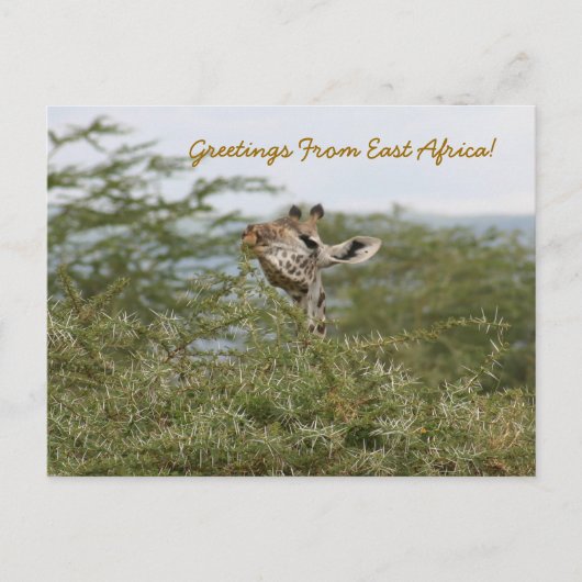 Carte Postale Compris ! -Carte postale (Devant)