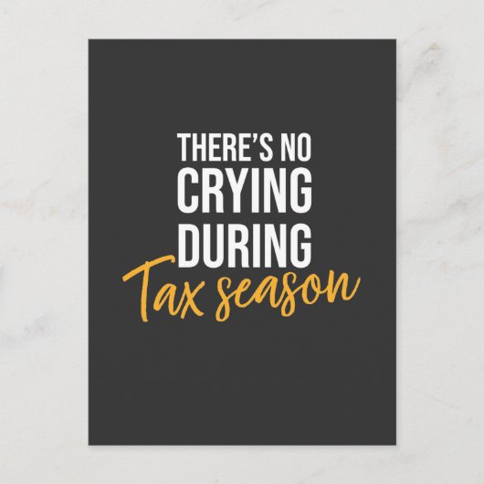 Carte Postale Comptable En Saison Fiscale (Devant)