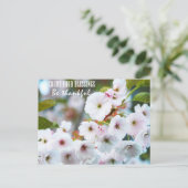 Carte Postale Comptez vos bénédictions (Debout devant)