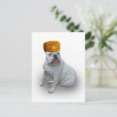 Carte Postale Comrad Bulldog (Debout devant)