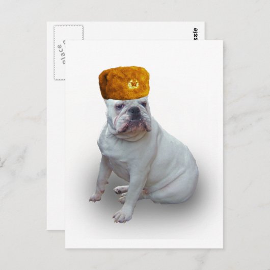 Carte Postale Comrad Bulldog (Devant / Derrière)