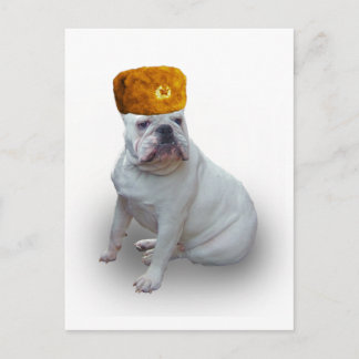 Carte Postale Comrad Bulldog
