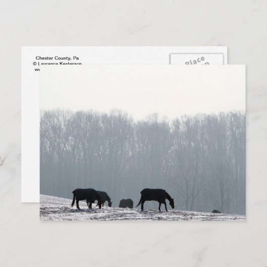 Carte Postale Comté de Chester, Pa (Devant / Derrière)