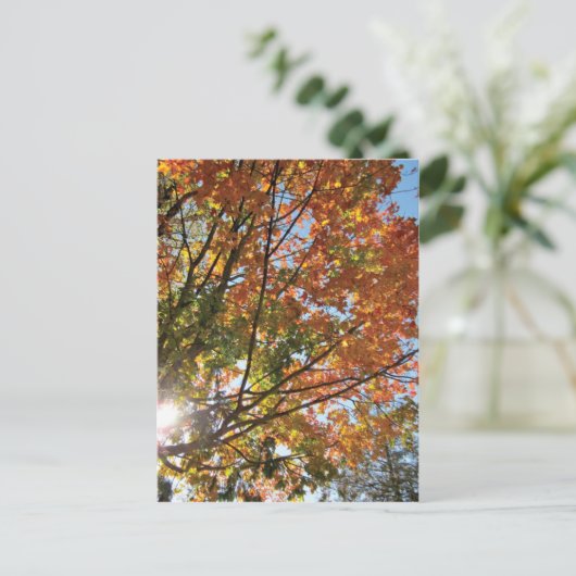 Carte Postale Comté de Door (Debout devant)