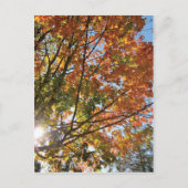 Carte Postale Comté de Door (Devant)