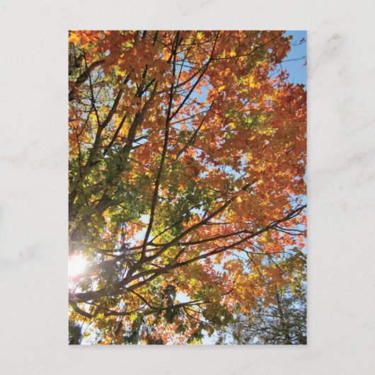 Carte Postale Comté de Door (Devant)