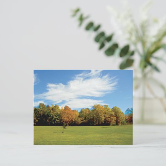 Carte Postale Comté de Door (Debout devant)