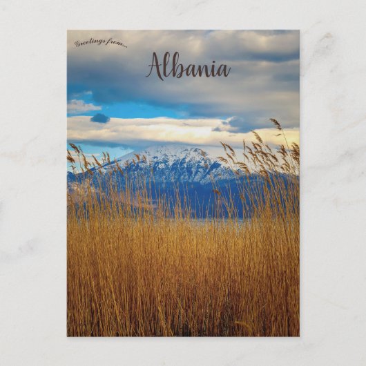 Carte Postale Comté de Pogradec Korçë Albanie (Devant)