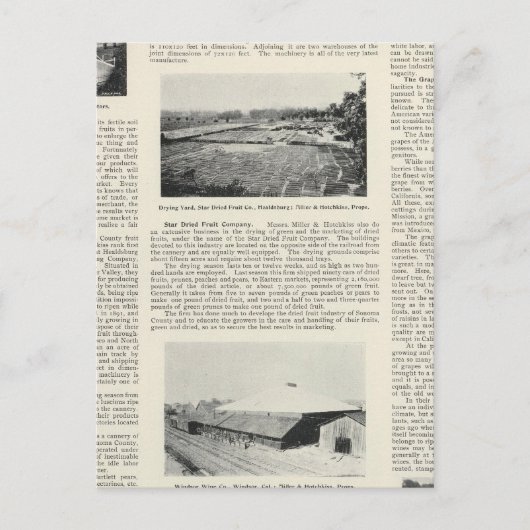 Carte Postale Comté de Sonoma, Californie (Devant)