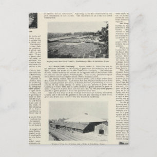 Carte Postale Comté de Sonoma, Californie