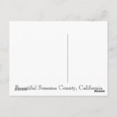 Carte Postale Comté de Sonoma, Californie (Dos)