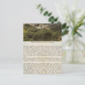 Carte Postale Comté de Verso Alameda, Oakland et Bay (Debout devant)