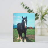 Carte Postale Comté Debout (Debout devant)