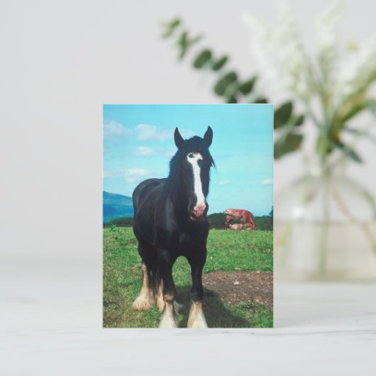 Carte Postale Comté Debout (Debout devant)