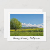 Carte Postale Comté d'Orange, Californie (Devant / Derrière)