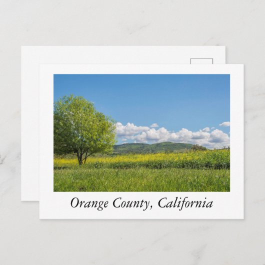 Carte Postale Comté d'Orange, Californie (Devant / Derrière)