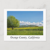 Carte Postale Comté d'Orange, Californie (Devant)