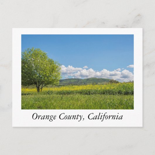 Carte Postale Comté d'Orange, Californie (Devant)