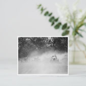 Carte Postale Comté Fair Dirt Track (Debout devant)