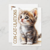 Carte Postale Con-Cat-Ulats, Chat, Chaton, Kitty, Félicitations (Devant / Derrière)