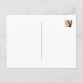 Carte Postale Con-Cat-Ulats, Chat, Chaton, Kitty, Félicitations (Dos)