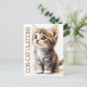 Carte Postale Con-Cat-Ulats, Chat, Chaton, Kitty, Félicitations (Debout devant)