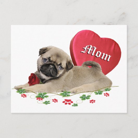 Carte Postale Conception adorable de maman Carlin (Devant)