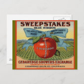 Carte Postale Conception Apple Colorado (Devant / Derrière)