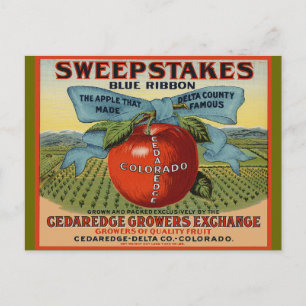 Carte Postale Conception Apple Colorado