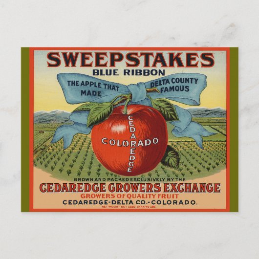 Carte Postale Conception Apple Colorado (Devant)