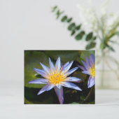 Carte Postale Conception botanique florale de nénuphar tropical (Debout devant)