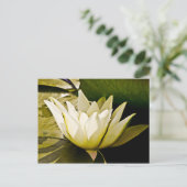 Carte Postale Conception botanique florale de nénuphar tropical (Debout devant)