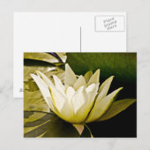 Carte Postale Conception botanique florale de nénuphar tropical (Devant / Derrière)